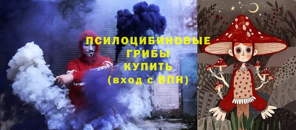 хмурый Абинск