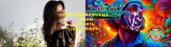 ГАЛЛЮЦИНОГЕННЫЕ ГРИБЫ Алексин