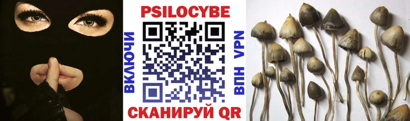 Псилоцибиновые грибы Cubensis Ковров