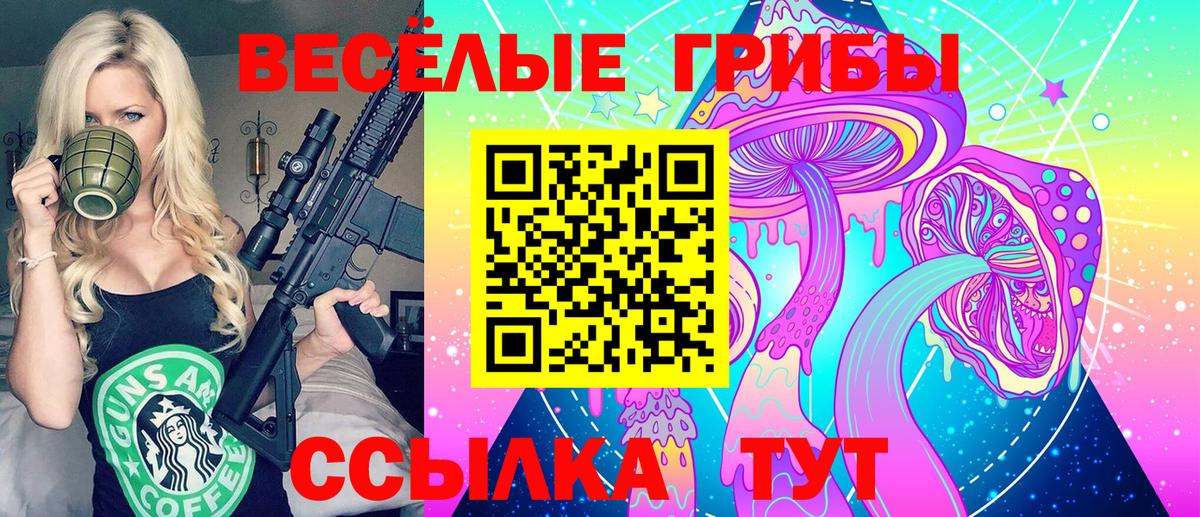 Ковров  Галлюциногенные грибы Psilocybe  Вход с VPN 